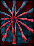 Body of Culture